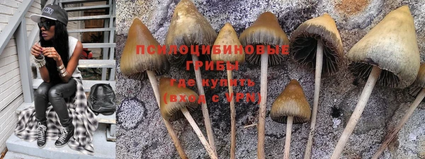 амф Дрезна