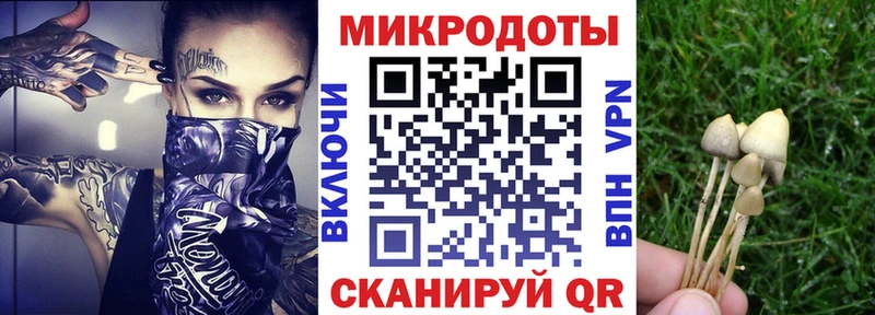 где найти наркотики  Исилькуль  Псилоцибиновые грибы GOLDEN TEACHER 